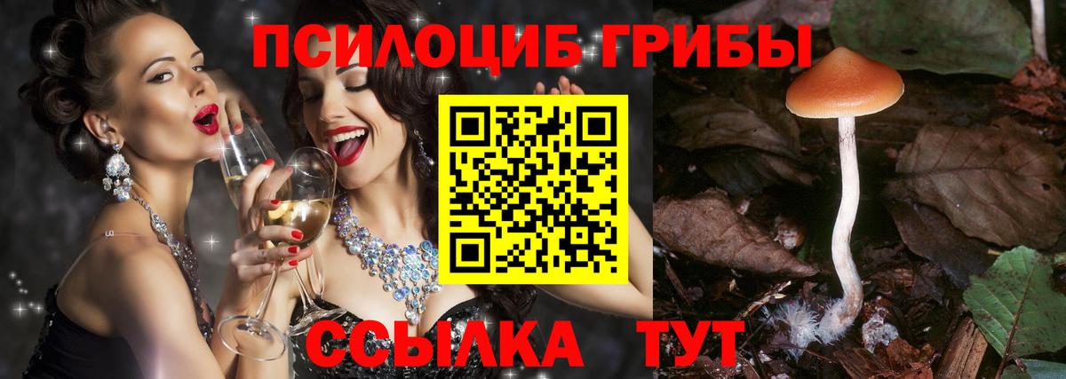 Галлюциногенные грибы мицелий Таганрог