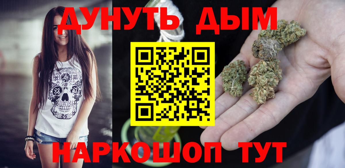 Таганрог  Каннабис планчик  Бошки марихуана сатива  Вход с VPN 